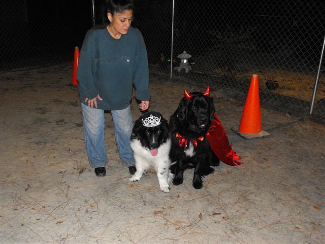 McCain/Palin-obviously from an Obama fan